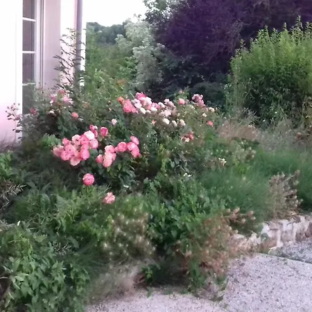 La Maison Du Saussoy Bed & Breakfast Saint-Augustin (Seine-et-Marne)